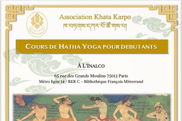 Cours de Hatha Yoga pour Débutants