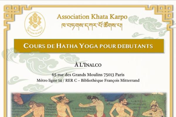 Cours de Hatha Yoga pour Débutants