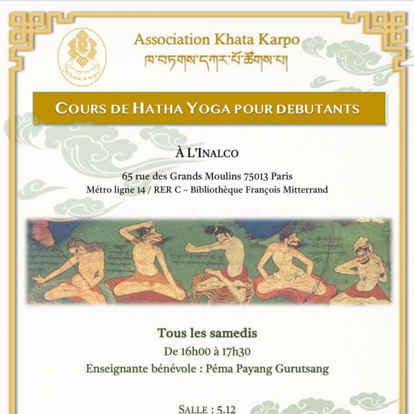 Cours de Hatha Yoga pour Débutants